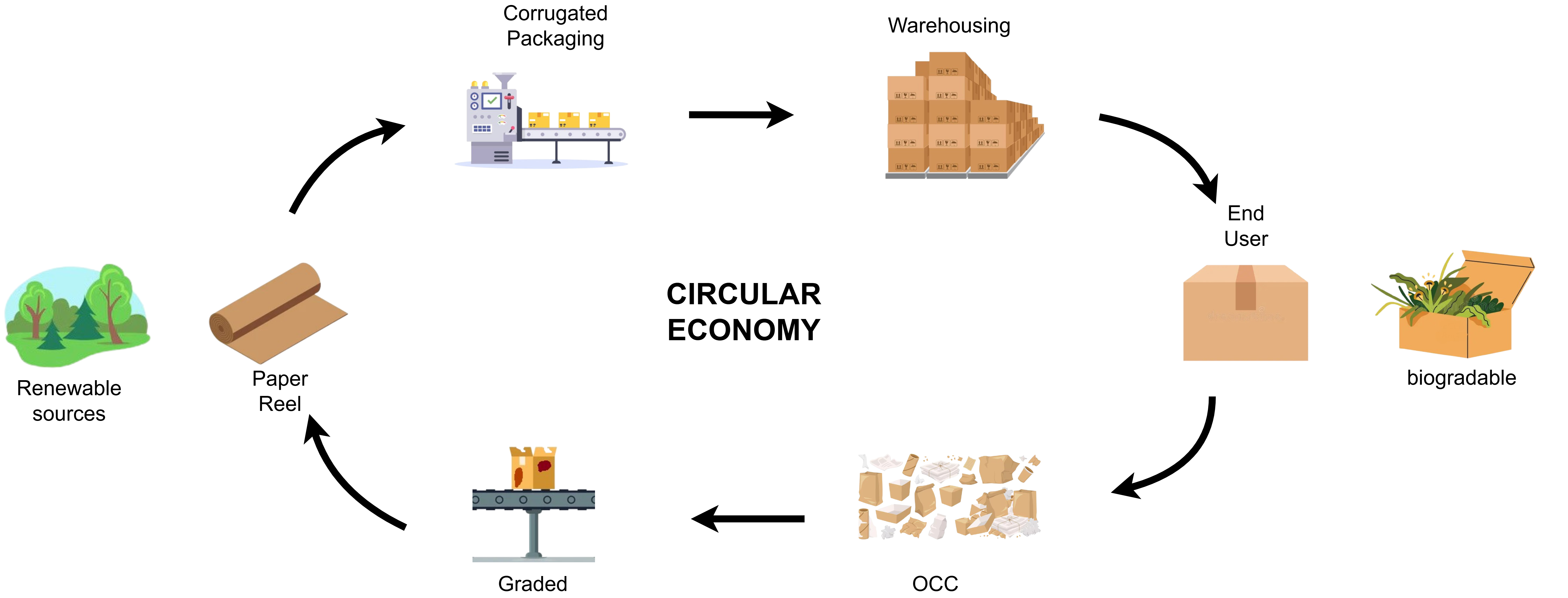 Circular sustainability framework