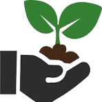 Leaf Icon